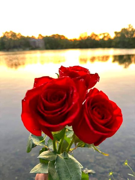 Beautiful Nature image