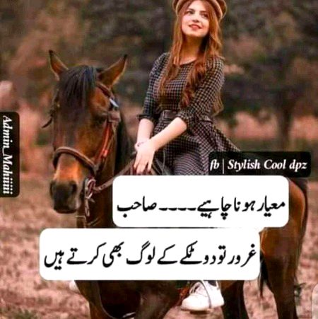 Attitude Quotes image