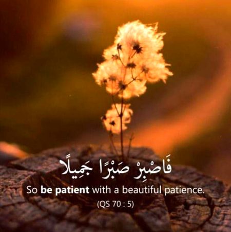 Islamic Quotes image