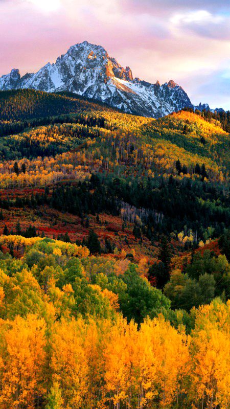 Beautiful Nature image