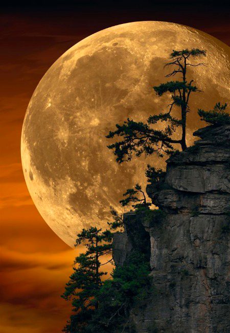 Beautiful Nature image