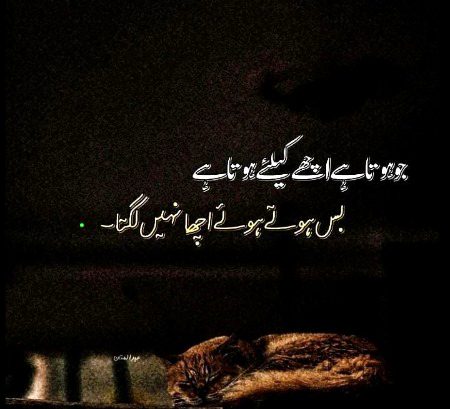 Motivational Quotes image