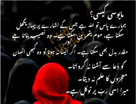Beshak best msg ππβ€π€²π½