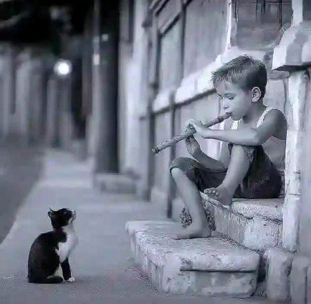 Beautiful Nature image