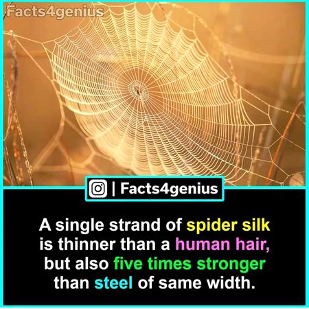 Interesting Posts image