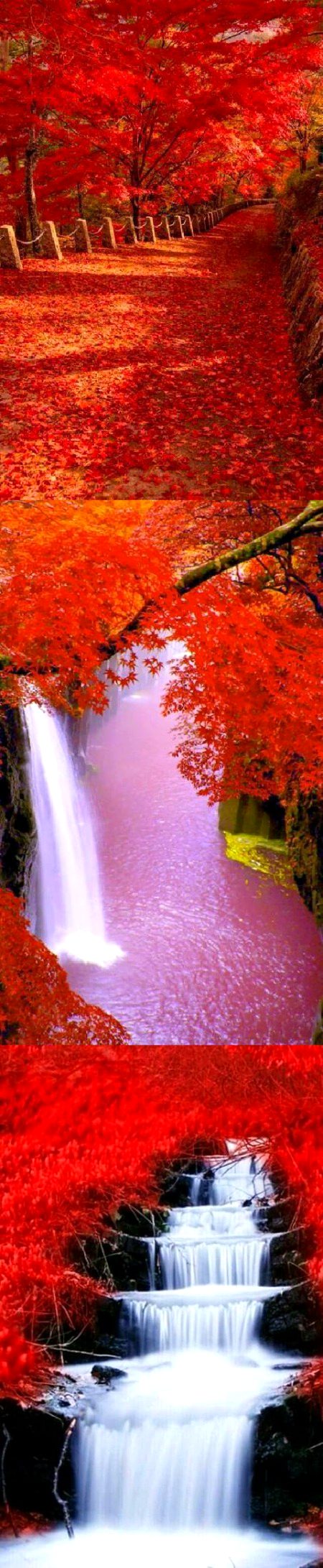 beautifull nature❤🔥