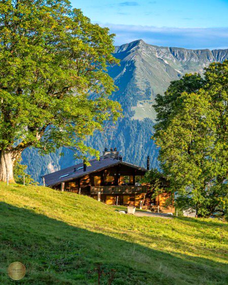Beautiful Nature image