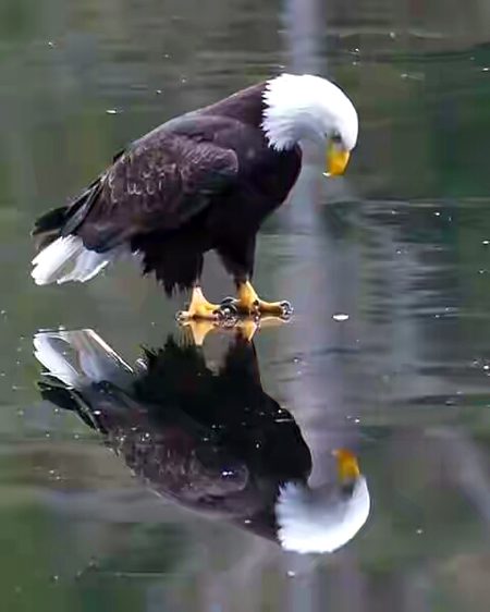 Beautiful Nature image