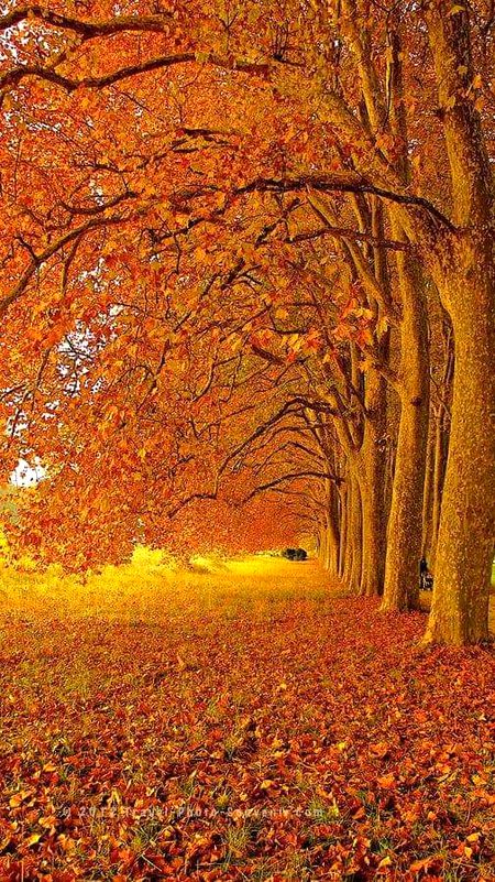 Beautiful Nature image