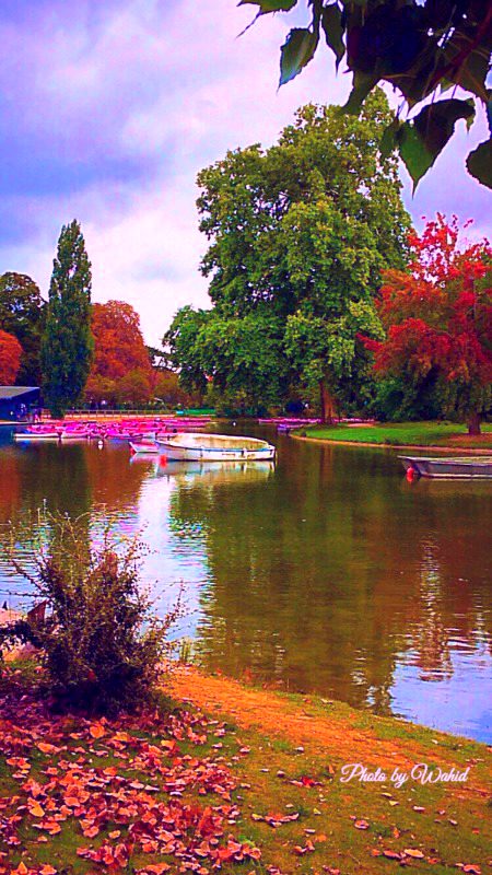 Beautiful Nature image