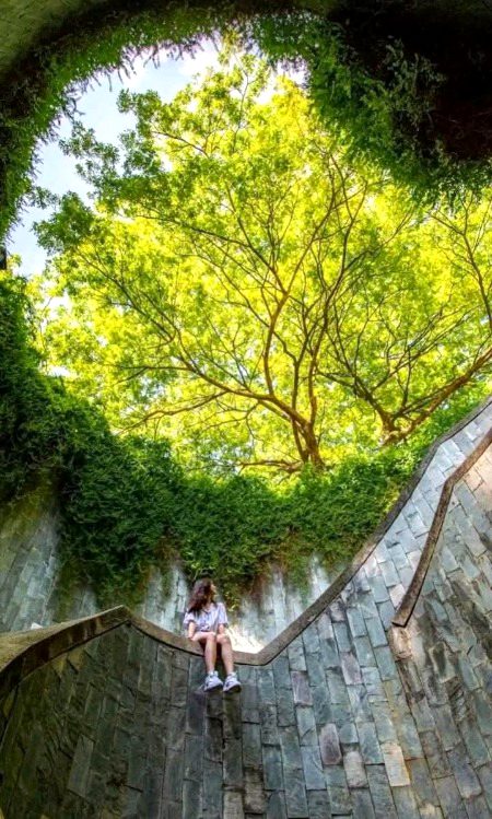 Beautiful Nature image