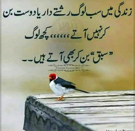 Life Advice image
