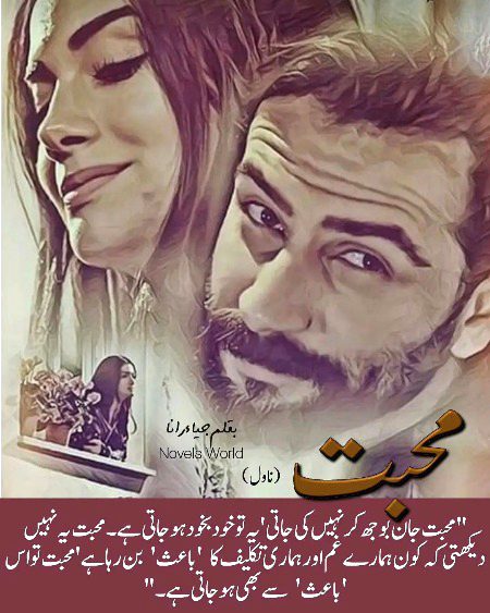 Romantic Novels image