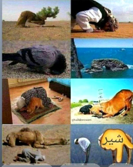 Sajda srf aik khuda ko