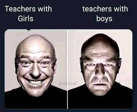 Memes & Satire image