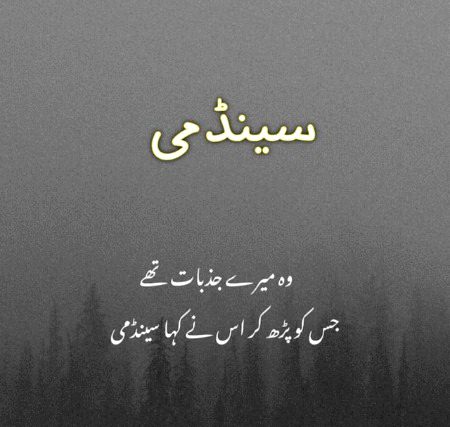 Sad Poetry image