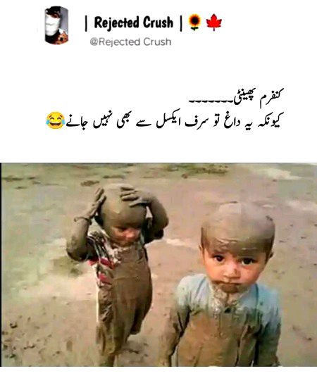 Memes & Satire image
