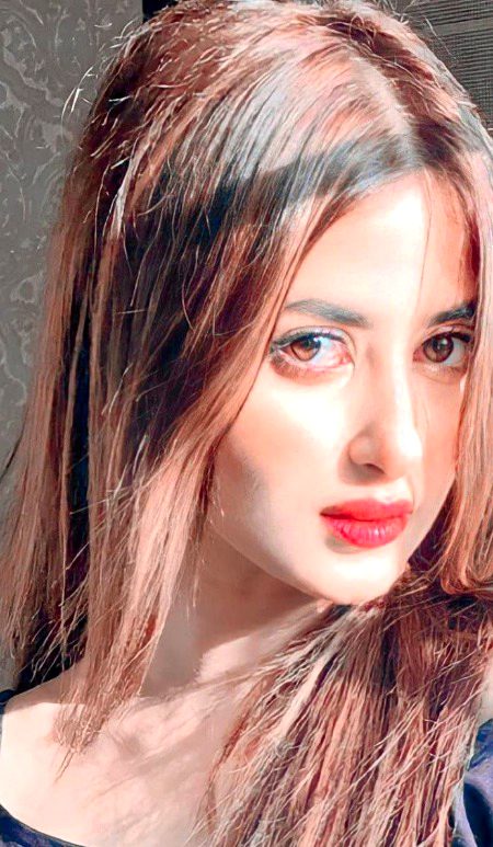 Pakistani Celebs image