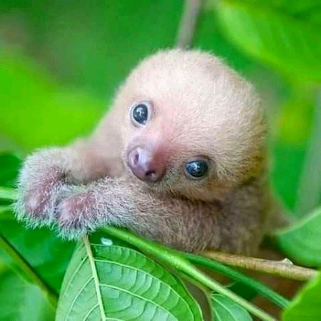 Beautiful Nature image