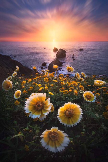 Beautiful Nature image