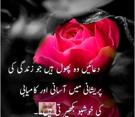 اَلسَّلامُ عَلَيْكُم