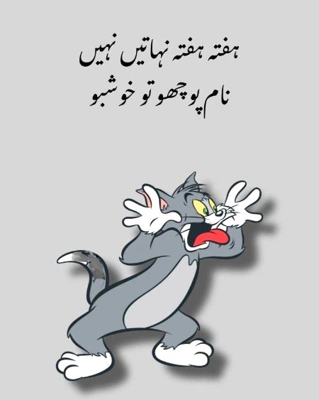 Memes & Satire image