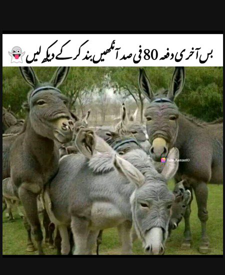 Khudi dekh lain...
