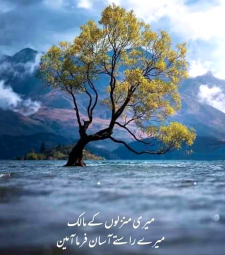 Islamic Quotes image