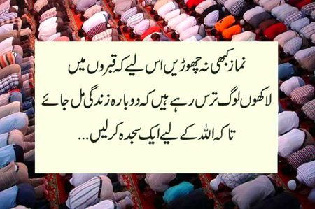 Islamic Quotes image