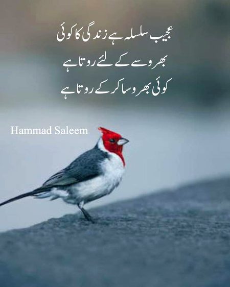 ..Beshak..❤️🥀..