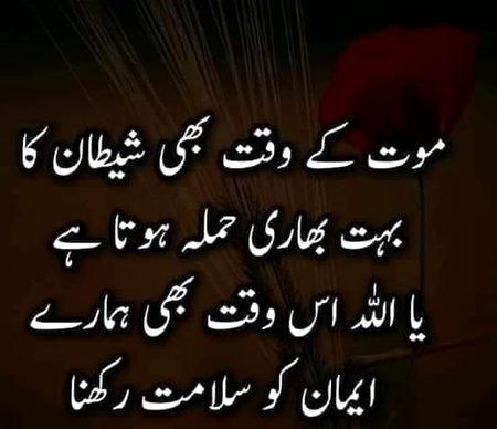 Islamic Quotes image
