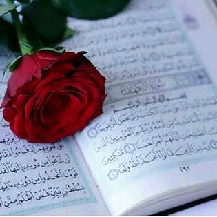 Beautiful Nature image