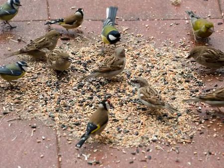 Beautiful Nature image