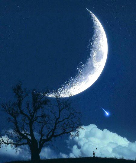 Beautiful Nature image