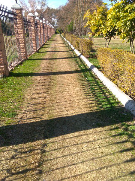 Kia tfseel se likhun track ha na yar