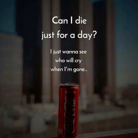 Can i....