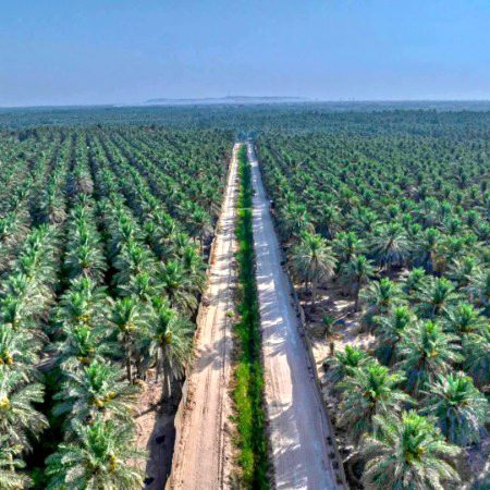 Beautiful Nature image