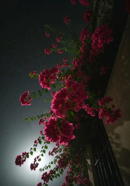 Beautiful Nature image