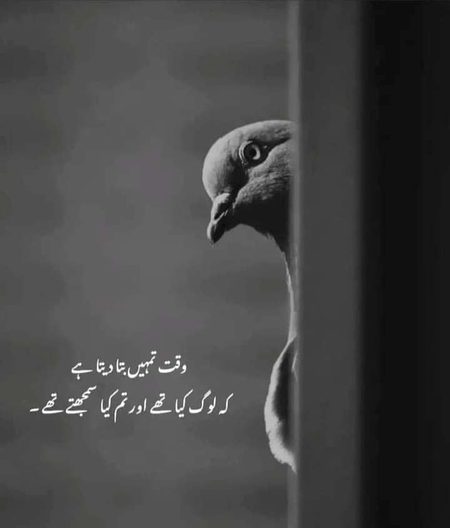 But Tum nai Samaj gayi phir b