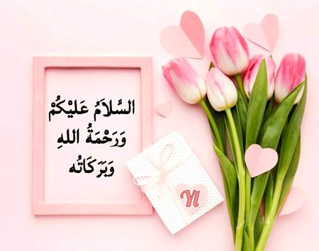 Asslam O Alikum To All sweet dd members 🌹