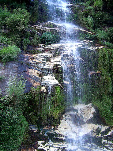 Beautiful Nature image