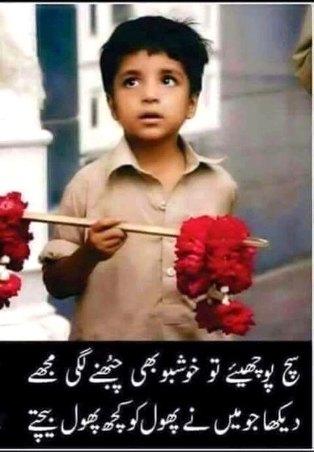 Hay mn sdky