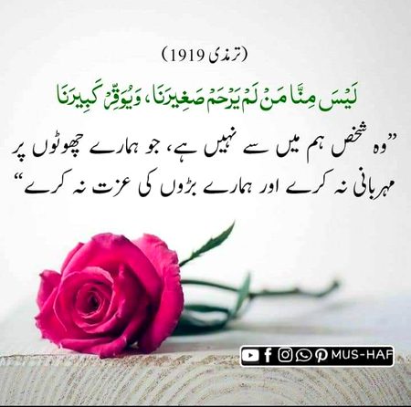 Islamic Quotes image