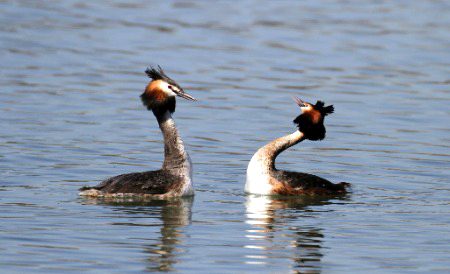 Beautiful Nature image