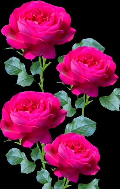 Beautiful Nature image