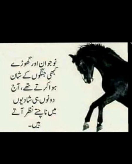 Attitude Quotes image