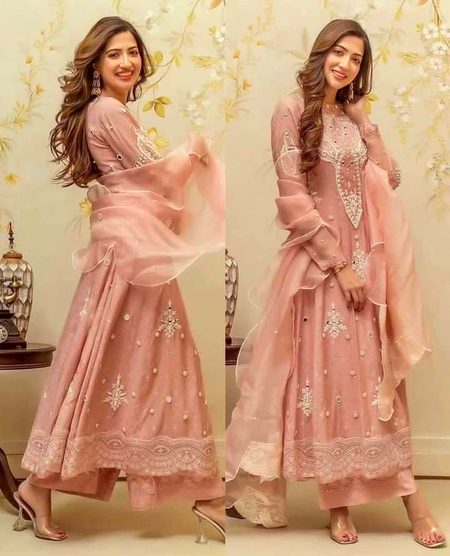 Pakistani Celebs image