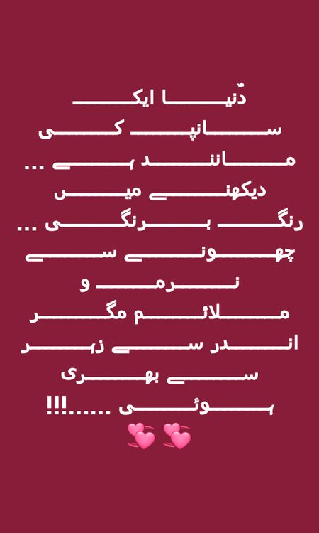 dunia k rang