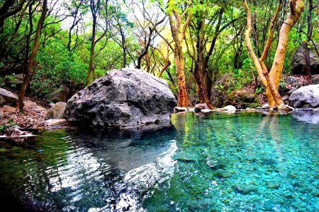 Beautiful Nature image