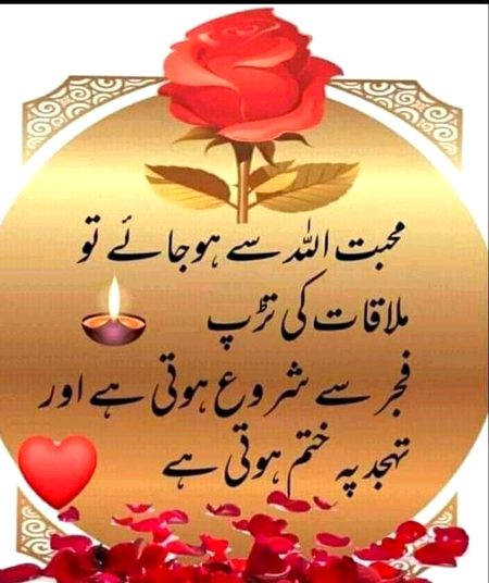 Islamic Quotes image